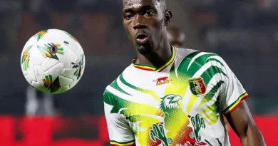 Afrika Uluslar Kupası Sıtma