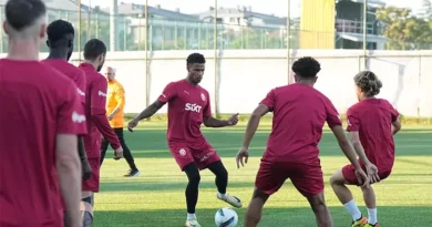 Aslan hazır ve formda